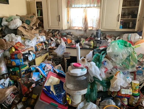 Messie-Räumung Wien